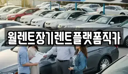 서울 성북구 동소문동6가 장기렌트카 전문 월렌트장기렌트플랫폼직카