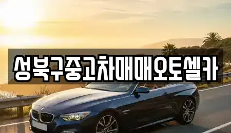 서울 성북구 동소문동6가 중고차 전문 성북구중고차매매오토셀카