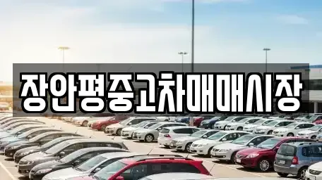 서울 성북구 동소문동6가 중고차 전문 장안평중고차매매시장