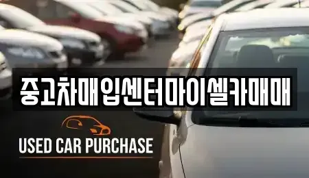 서울 성북구 동소문동6가 중고차매입 전문 중고차매입센터마이셀카매매