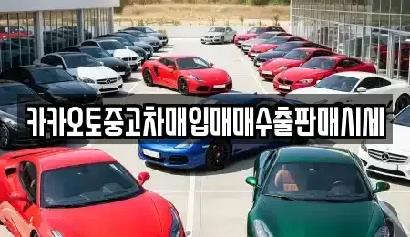 서울 성북구 동소문동6가 중고차매입 전문 카카오토중고차매입매매수출판매시세