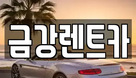 울산 북구 양정동 렌트카 전문 금강렌트카