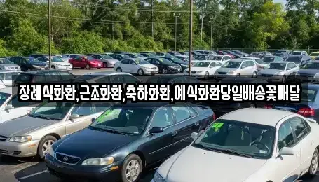 울산 북구 양정동 중고차 전문 장례식화환,근조화환,축하화환,예식화환당일배송꽃배달