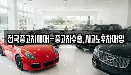 울산 북구 양정동 중고차매매 전문 전국중고차매매-중고차수출,사고노후차매입