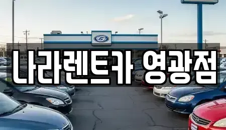 전남 영광군 영광읍 렌트카 전문 나라렌트카 영광점