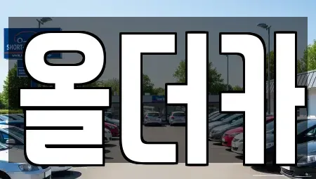 전남 영광군 영광읍 렌트카 전문 올더카