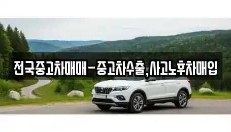 전라남도 순천시 저전동 중고차매입 전문 전국중고차매매-중고차수출,사고노후차매입