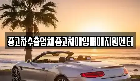 전라남도 순천시 저전동 중고차매입 전문 중고차수출업체중고차매입매매지원센터