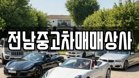 전라남도 장성군 북하면 중고차매매 전문 전남중고차매매상사