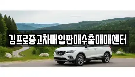 충청남도 당진시 읍내동 중고차매입 전문 김프로중고차매입판매수출매매센터