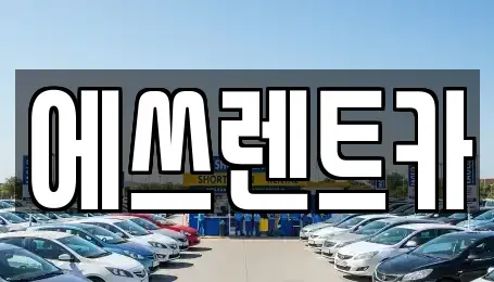 충청남도 보령시 동대동 렌트카,단기렌트카,장기렌트카,중고차,중고차매매,중고차매입