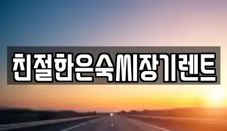 충청남도 보령시 동대동 장기렌트카 전문 친절한은숙씨장기렌트