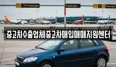 충청남도 보령시 동대동 중고차 전문 중고차수출업체중고차매입매매지원센터