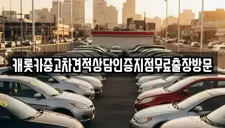 충청남도 보령시 동대동 중고차 전문 캐롯카중고차견적상담인증지점무료출장방문