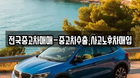 충청남도 보령시 동대동 중고차매매 전문 전국중고차매매-중고차수출,사고노후차매입